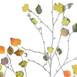 Zeige Details für Minimal Autumn Servietten Bild von Minimal Autumn Servietten