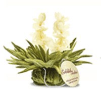 Zeige Details für Jasmine Heaven, Erblüh Teelini, weißer Tee aromatisiert, Teerose Bild von Jasmine Heaven, Erblüh Teelini, weißer Tee aromatisiert, Teerose