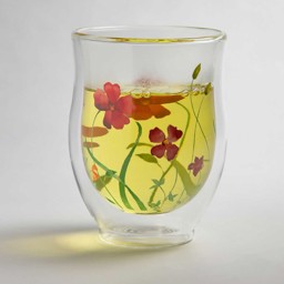 Zeige Details für tealogic Teeglas Lotta doppelwandig Glastasse 0,35L Bild von tealogic Teeglas Lotta doppelwandig Glastasse 0,35L