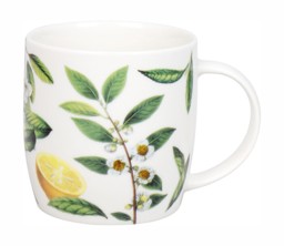 Zeige Details für Könitz Tasse Tea Time My favourite Tea Franz 0,35 L Bild von Könitz Tasse Tea Time My favourite Tea Franz 0,35 L