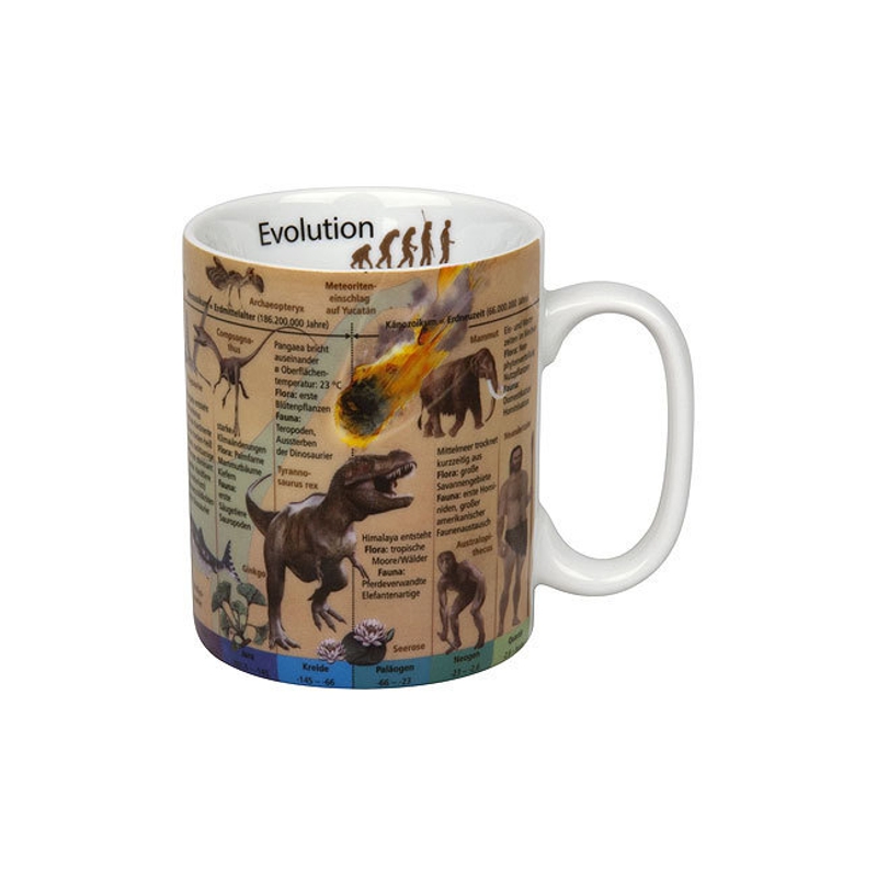 Bild von Evolution Wissensbecher Tasse Mug Könitz
