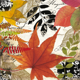 Bild von Autumn Collage Servietten