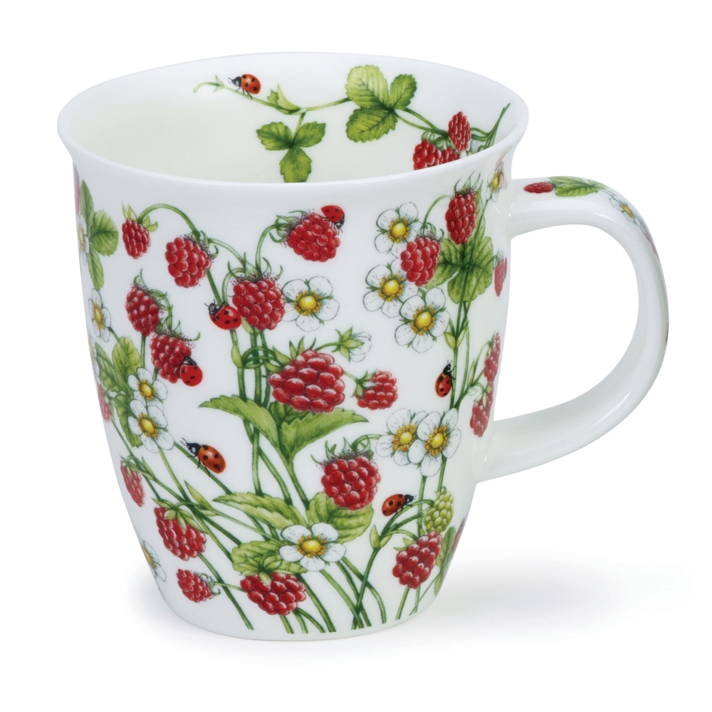 Bild von Dunoon Wild Fruits Raspberry Himbeere Henkelbecher Mug Tassen Nevis