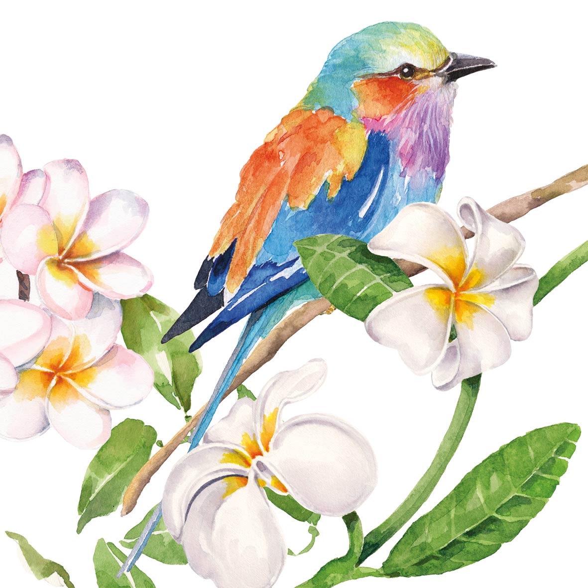Bild von Sri Lanka Servietten