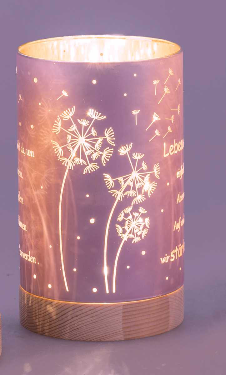 Bild von Deko-Licht LED pink 15 cm - Motiv Pusteblume - Leben ist nicht einfach