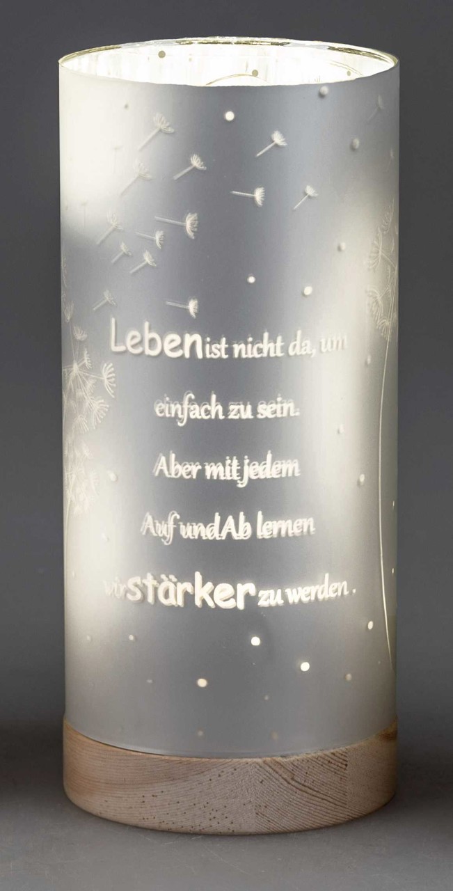 Bild von Deko-Licht LED weiß 20 cm - Motiv Pusteblume - Leben ist nicht einfach