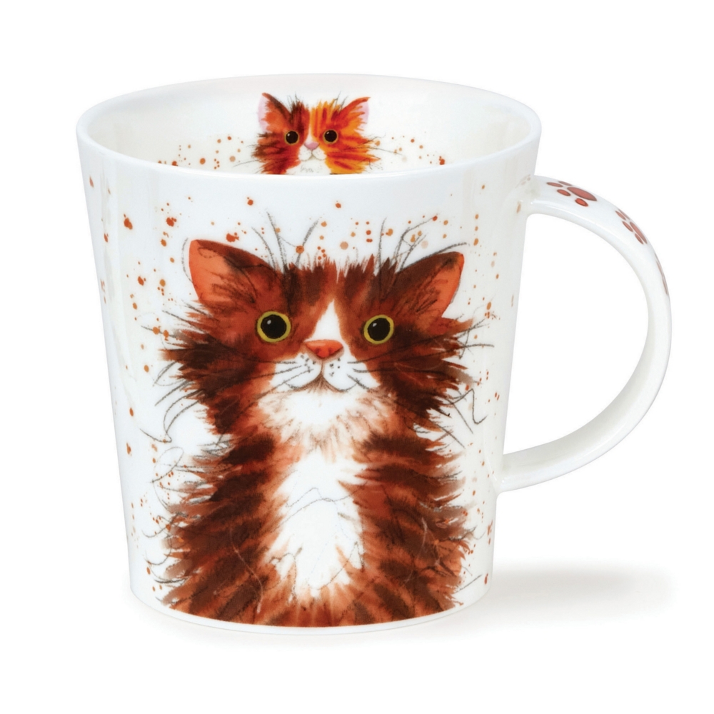 Bild von Dunoon Tasse Catter Splatter tabby Lomond