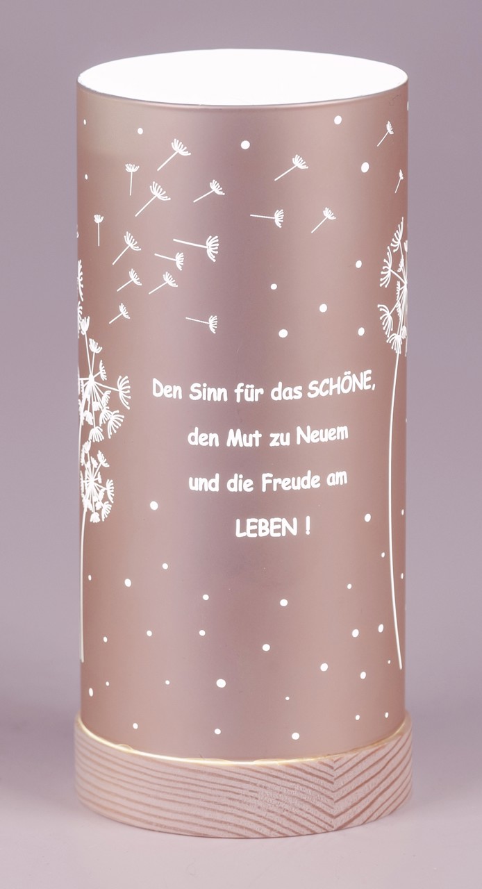 Bild von Deko-Licht LED rose 15cm 20cm - Sinn für das Schöne