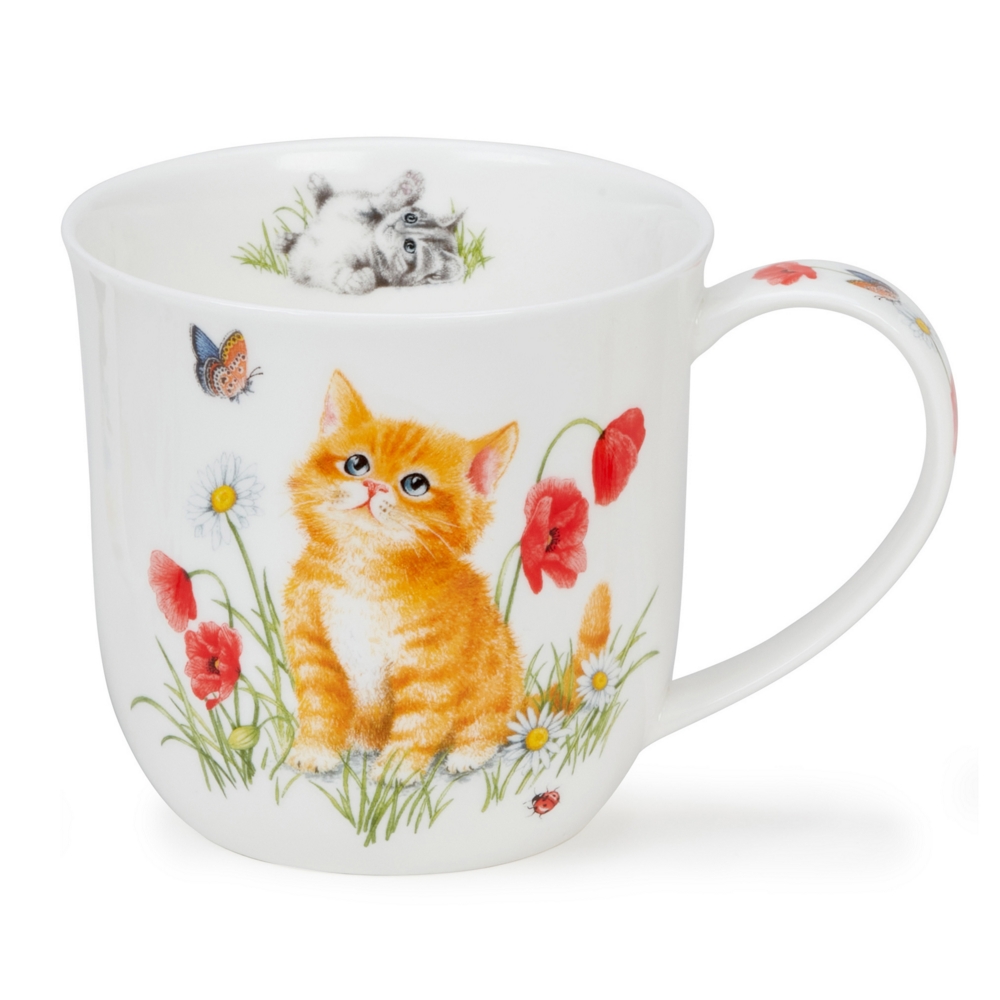 Bild von Dunoon Tasse Kittens Kätzchen Cumbrae
