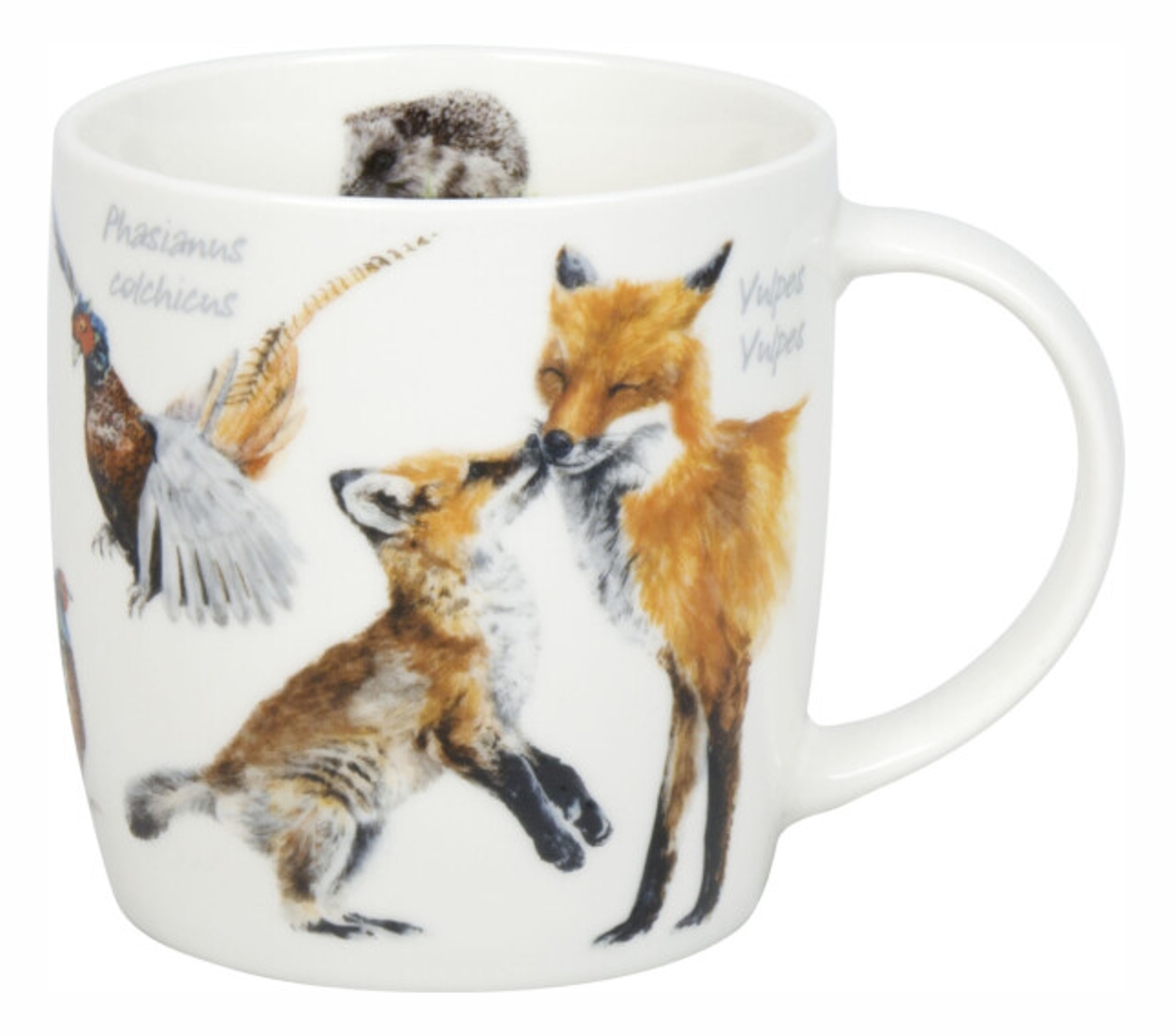 Bild von Könitz Tasse Natures Diversity Kleine Tiere des Waldes Franz 0,35 L