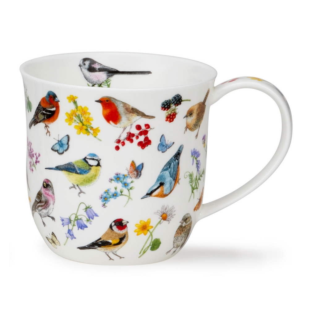 Bild von Dunoon Tasse Bird Garden Robin Rotkehlchen Cumbrae